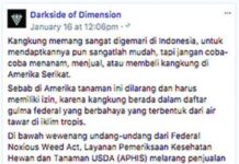 Makan Kangkung di Indonesia Masih Aman