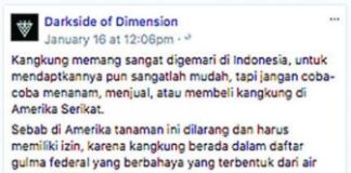 Makan Kangkung di Indonesia Masih Aman