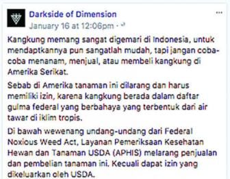 Makan Kangkung di Indonesia Masih Aman