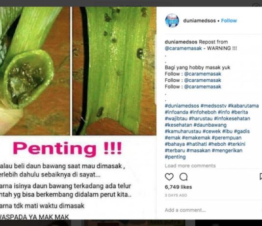 Telur Lintah Menakutkan di Daun Bawang