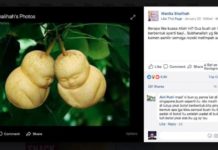 Tertipu Buah yang Sengaja Dibentuk