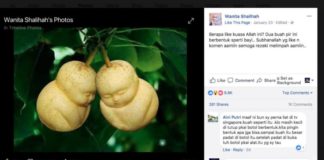 Tertipu Buah yang Sengaja Dibentuk