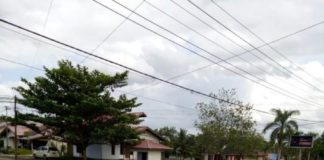 Sita Hewan Peliharaan atau Tembak di Tempat