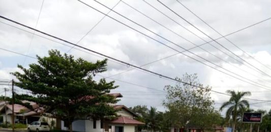 Sita Hewan Peliharaan atau Tembak di Tempat