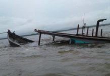 Dihajar Ombak 2 Meter, 16 Ton Ikan Gembung Kembali “Huni” Lautan