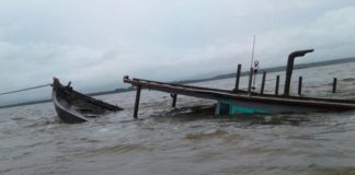Dihajar Ombak 2 Meter, 16 Ton Ikan Gembung Kembali “Huni” Lautan