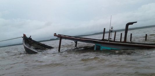 Dihajar Ombak 2 Meter, 16 Ton Ikan Gembung Kembali “Huni” Lautan