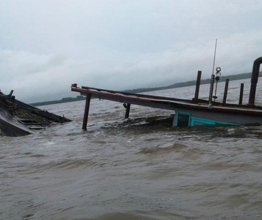 Dihajar Ombak 2 Meter, 16 Ton Ikan Gembung Kembali “Huni” Lautan