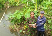 Bersihkan Sawah, Warga Bengkayang Temukan Granat Aktif