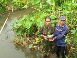 Bersihkan Sawah, Warga Bengkayang Temukan Granat Aktif