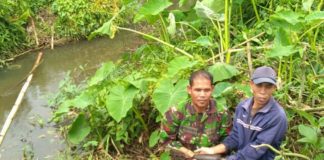 Bersihkan Sawah, Warga Bengkayang Temukan Granat Aktif