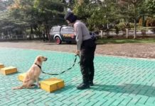 Bripda Enisepa Agatha, Polwan Pertama Membawa Anjing Pelacak Bahan Peledak