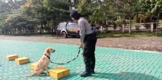 Bripda Enisepa Agatha, Polwan Pertama Membawa Anjing Pelacak Bahan Peledak