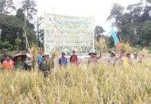 Nasir: Kerja Keras Petani Desa Lubuk Antuk Patut Diapresiasi