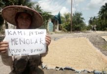 Impor Beras Resahkan Petani Sambas