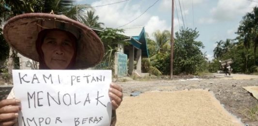 Impor Beras Resahkan Petani Sambas