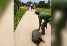 Sesuai Kesepakatan, Dor Hewan Tak Dikandangkan