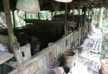 Warga Dua Desa Tolak Peternakan Babi