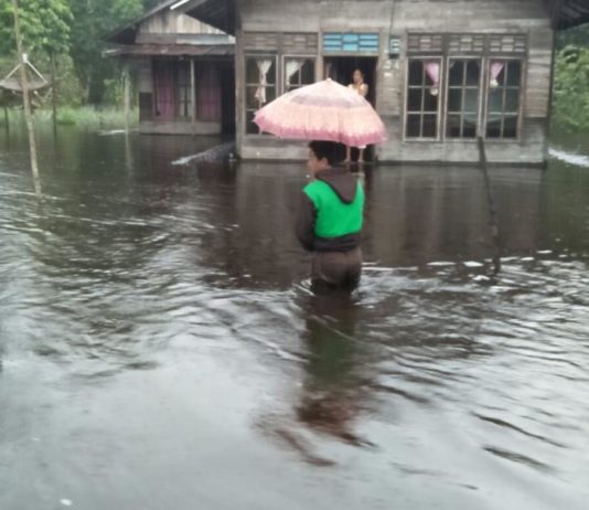 Musim Hujan, SAR Sintete Siaga 24 Jam