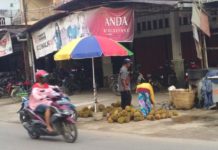 Menikmati Dua Macam Durian di Bengkayang