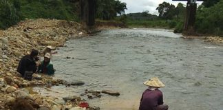 Kisah Pendulang Emas di Sungai Ledo