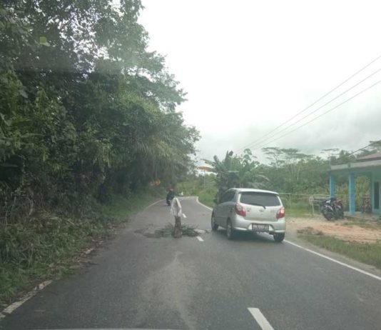 Waspada Dua Lubang di Jalan Raya Sengah Temila