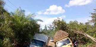 Jalan Menukung Mirip Kubangan Kerbau