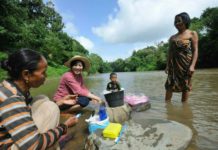 Tujuh Fakta Tentang Karolin, Yuks kita Simak Satu Persatu Biar Lebih Tahu