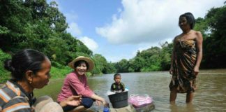 Tujuh Fakta Tentang Karolin, Yuks kita Simak Satu Persatu Biar Lebih Tahu