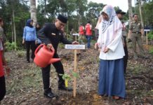 Bupati Tanam Pohon Belian di KRS