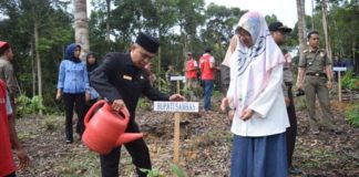 Bupati Tanam Pohon Belian di KRS