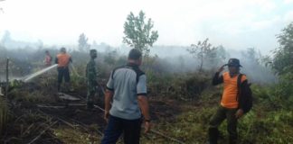 Karhutla di Kubu Raya Mendekati 80 Hektar