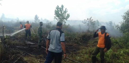 Karhutla di Kubu Raya Mendekati 80 Hektar