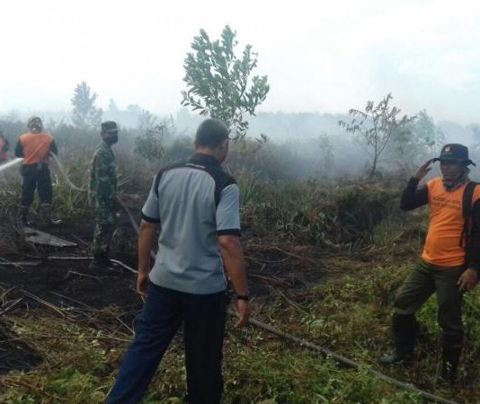 Karhutla di Kubu Raya Mendekati 80 Hektar