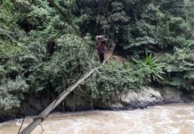 Demi Sesuap Nasi, Bertaruh Nyawa Seberangi Sungai BERBAHAYA. Salah seorang petani meniti sling menyeberang sungai di Jorong Lompek, Nagari Halaban, Kecamatan Lareh Sago Halaban, Limapuluh Kota, Kamis (22/2) siang. Arfidel Ilham/Padang Ekspres