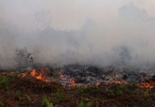 Titik Api Meluas, Diduga Ada Oknum Sengaja Membakar