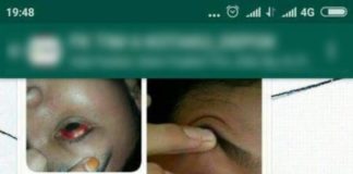 Kabar Meresahkan soal Virus Radiasi Ponsel