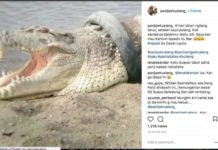 Ngaku Panji Petualang, Sebar Hoax Buaya