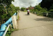 Jembatan Sungai Nyamuk Rawan Ambruk