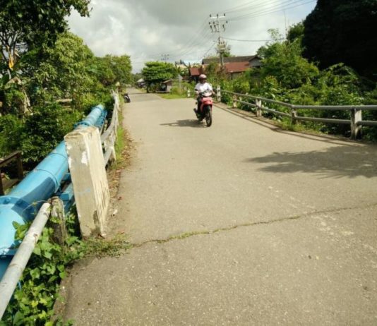 Jembatan Sungai Nyamuk Rawan Ambruk