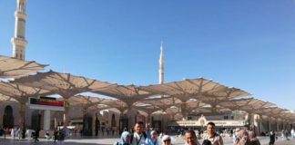 Rakus Lentil dan Kurma Mentah Beku