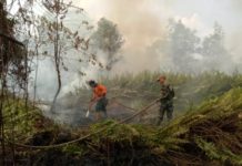 (Lagi) Lahan Terbakar di Wonodadi 2