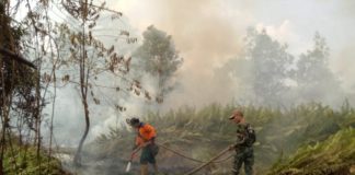 (Lagi) Lahan Terbakar di Wonodadi 2