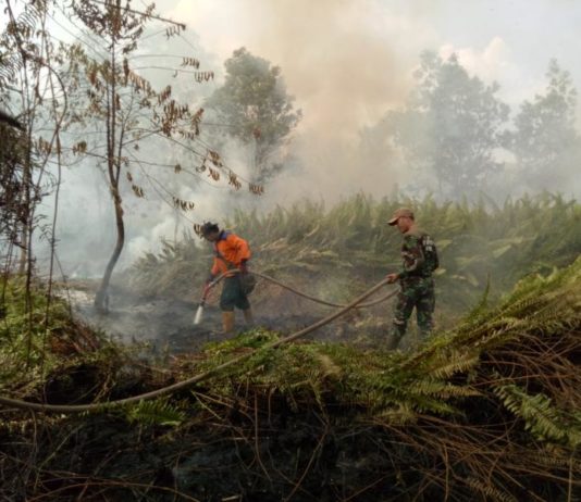 (Lagi) Lahan Terbakar di Wonodadi 2