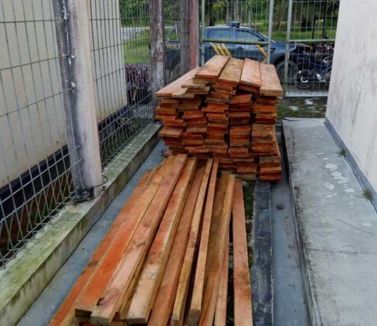 Tebang Pohon, Dua Warga Diamankan Polisi