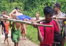 Rumah Gelap, Rebinus Tak Sadar Teguk Racun