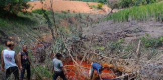 Amdal Belum Keluar, Dua Kali CPO Tumpah Cemari Sungai BERWARNA MERAH. Diduga CPO dari pabrik PT. CM meluber ke sungai Koli di Kabupaten Melawi mengakibatkan air jadi berwarna merah, beberapa waktu lalu. Ketua DPRD Melawi, Abang Tajudin for RK