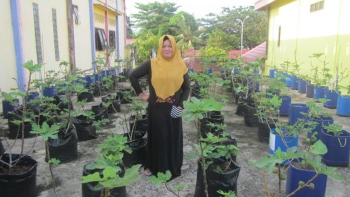 KEBUN TIN. Ritha Adianto di kebun pohon Tin-nya. Lukman Maulana-Bontang Post