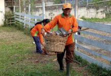 Tiga Bulan Belum Digaji, PHL Terpaksa Hutang untuk Biaya Makan Keluarga Bersihkan Lingkungan. Para PHL sedang membersihkan lingkungan di Pasar Nanga Pinoh. Tugas untuk membersihkan sampah di Kota Nanga Pinoh tetap mereka lakukan. Meskipun gaji mereka belum dibayar pemerintah selama tiga bulan terakhir, Selasa (13/3). Dedi Irawan/RK.