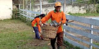 Tiga Bulan Belum Digaji, PHL Terpaksa Hutang untuk Biaya Makan Keluarga Bersihkan Lingkungan. Para PHL sedang membersihkan lingkungan di Pasar Nanga Pinoh. Tugas untuk membersihkan sampah di Kota Nanga Pinoh tetap mereka lakukan. Meskipun gaji mereka belum dibayar pemerintah selama tiga bulan terakhir, Selasa (13/3). Dedi Irawan/RK.